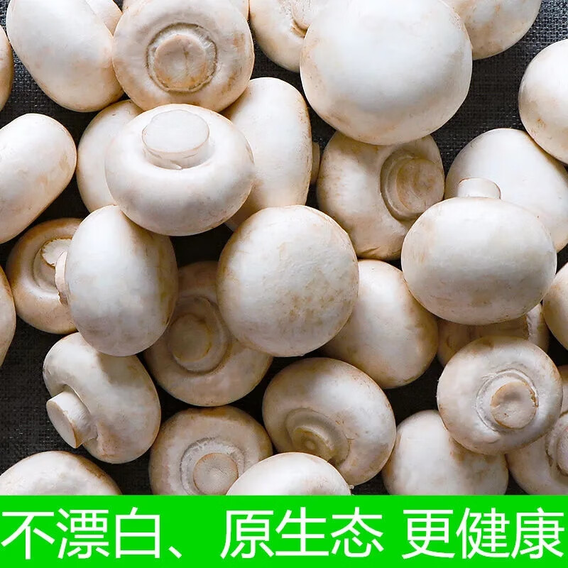 京材口蘑菇现摘现发新鲜白蘑菇双孢菇新鲜口蘑时令蔬菜食用菌菇顺丰