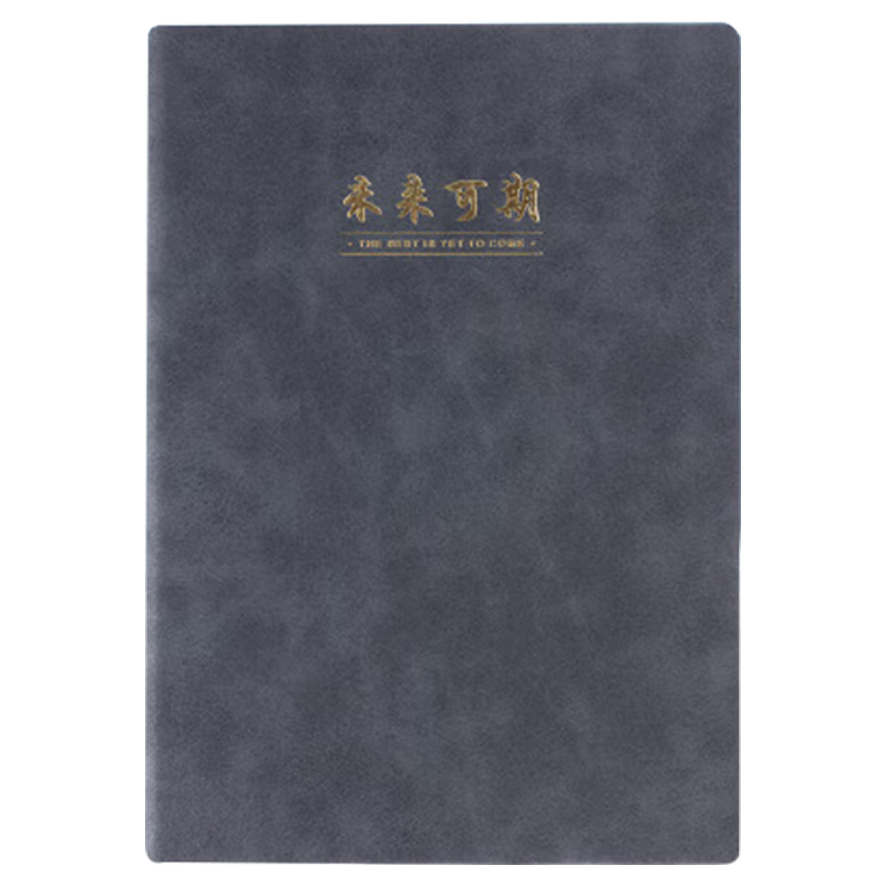 晨光（M&G）文具A5/120張會(huì)議記錄羊巴皮皮面本加厚 辦公筆記本 商務(wù)記事本子 灰色單本裝APNFC011