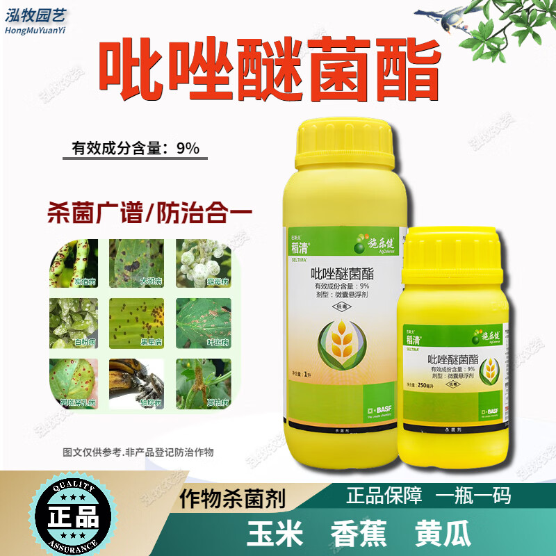 巴斯夫稻清 9%吡唑醚菌酯草莓白粉病水稻稻瘟病农药剂 250ml