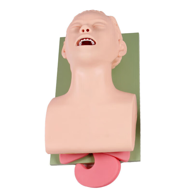 七格匠电子人体气管插管训练模型 徒手实习成人气管插管教学模型