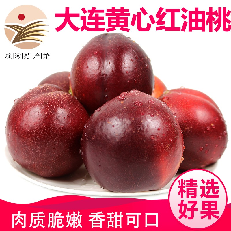 鲜姿 大连红油桃头茬新鲜黄肉油桃丑桃黄心油桃子应季新鲜水果 大连红油桃4.5斤【单果约100-125g】