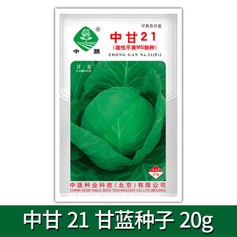 youzhong农科院中甘21系列甘蓝种子大全早熟四季种籽包心菜圆包菜种子