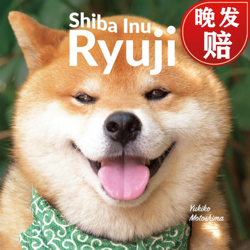 【4周达】shiba inu ryuji