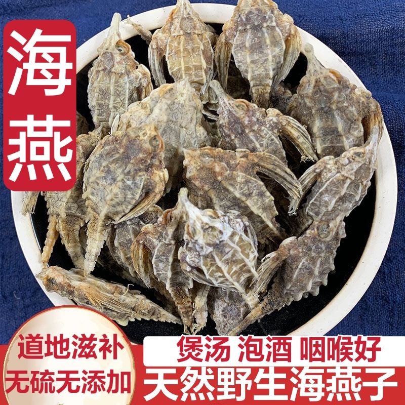 中药材海麻雀咽喉肿痛滋补配海龙泡酒煲汤 【精选大海燕10克】5支左右