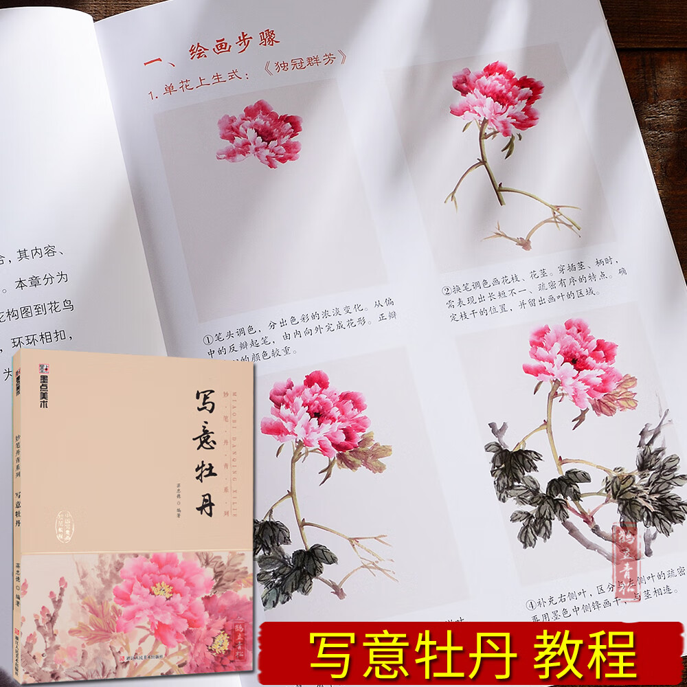 中国写意画规范教程 国画基础教程步骤解析欣赏临摹牡丹的画法如何画