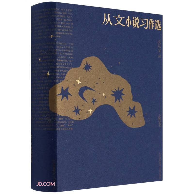 从文小说习作选(精)/大家小书