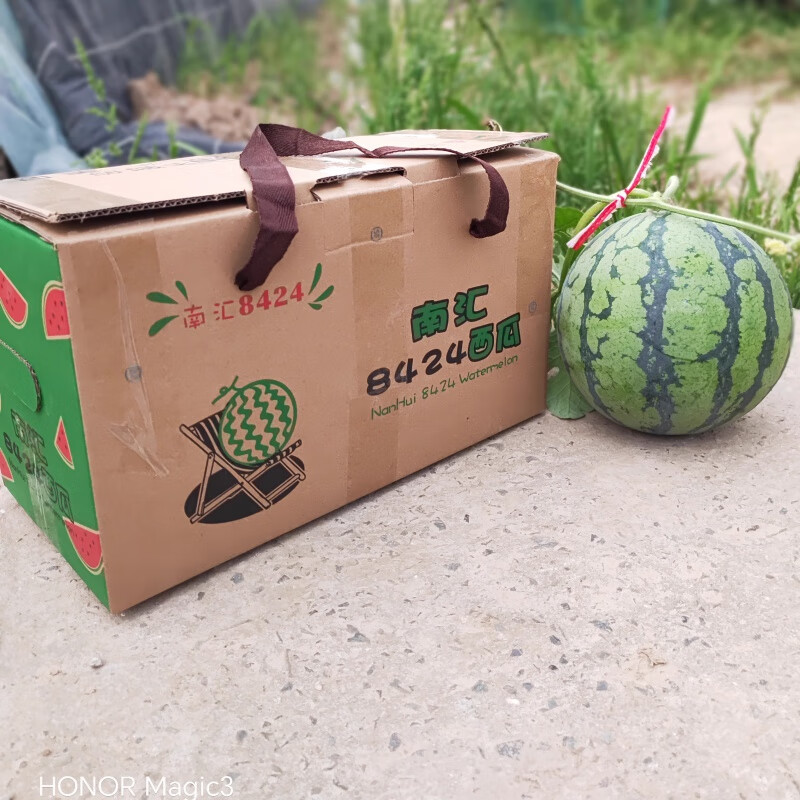 时茂顺丰上海南汇正宗8424西瓜【2只装】头茬黑籽薄皮脆甜 8斤 【2只
