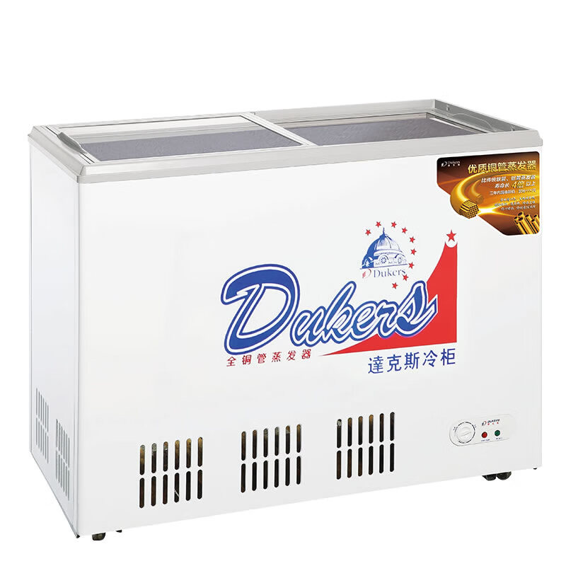 雪糕柜 达克斯便利店冰激凌冰柜 鲜肉海鲜蔬菜冷藏冷冻冰箱 191升 wd