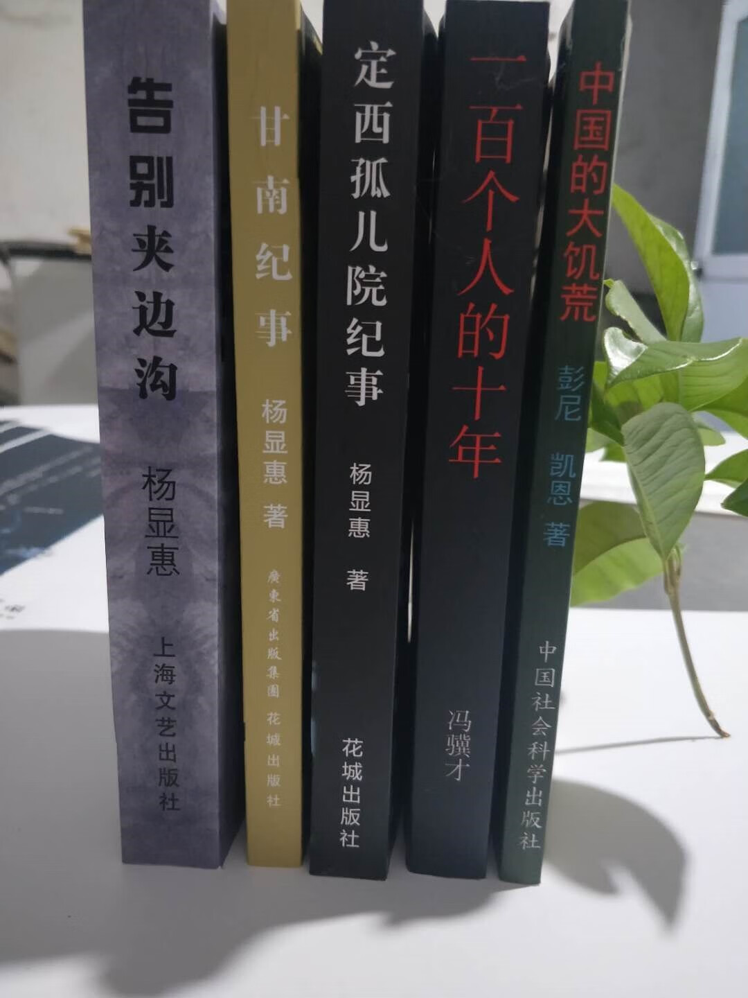 五本合售定西孤儿院纪事甘南纪事大饥荒一百人的十年