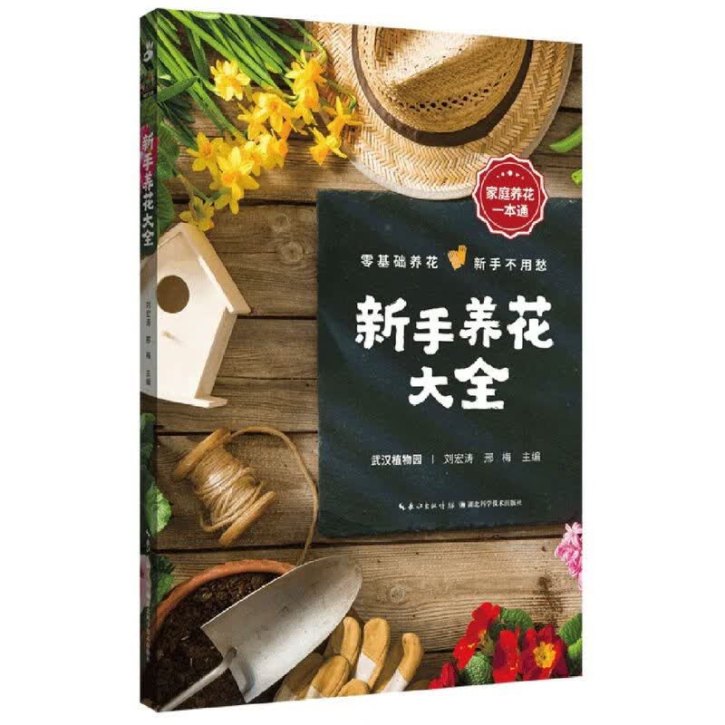新手养花大全