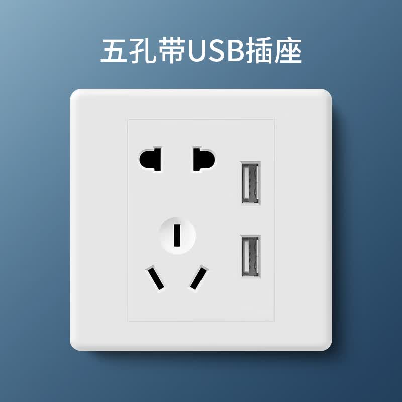 哲弘地五孔86型带usb插座开关面板墙壁家用手机双接口充电暗装 a50
