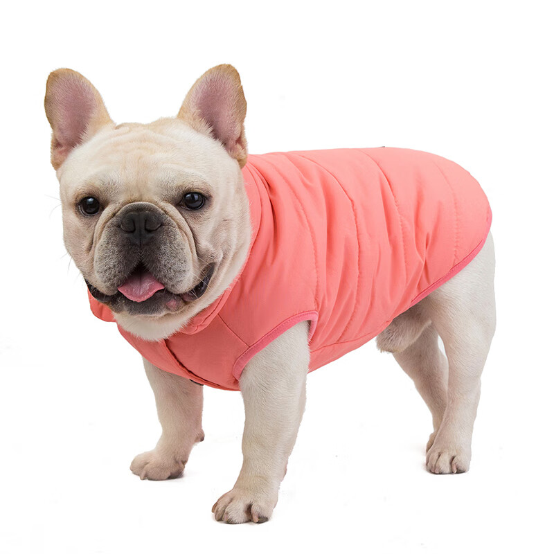 clcey法国斗牛犬专用衣服春秋冬法斗英斗八哥沙皮狗狗两脚棉服棉衣