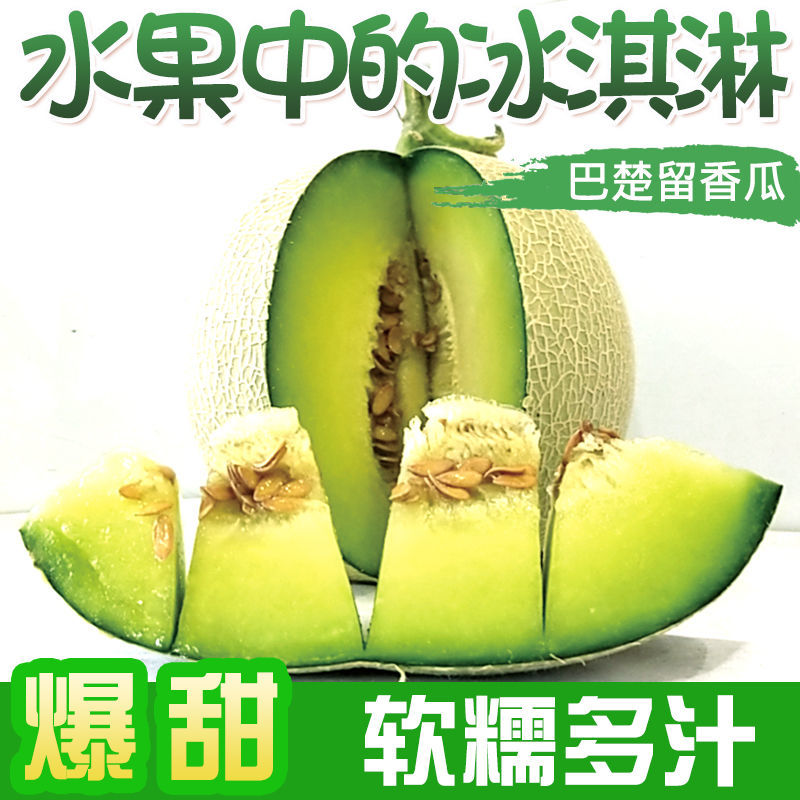 巴楚留香瓜巴楚留香哈密瓜水果香甜生鲜 默认净含量