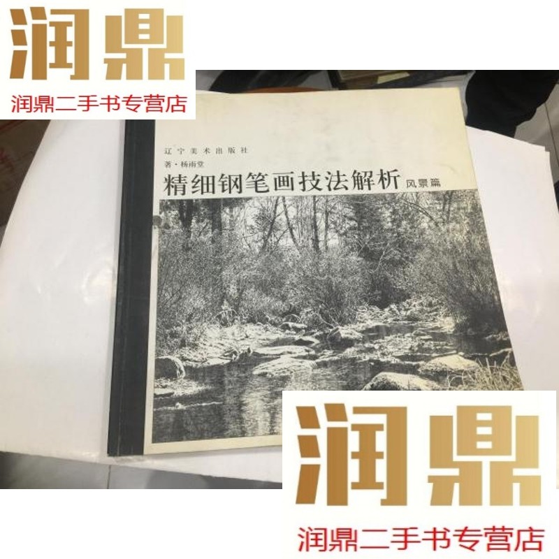 【二手九成新】精细钢笔画技法解析:风景篇  12开2004年1印