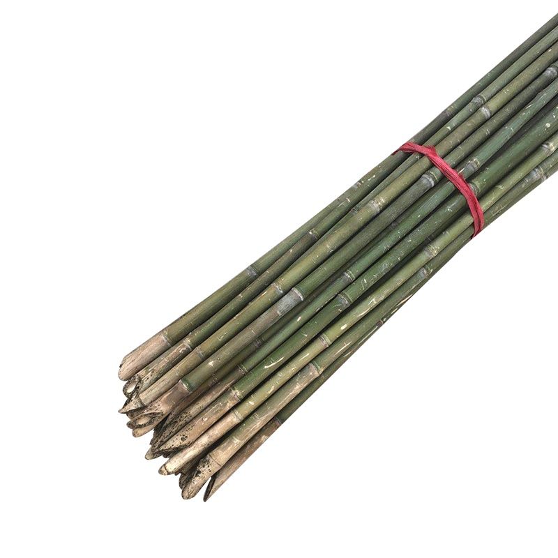 卫亮小竹子细竹竿子棍3米2米菜园搭架旗竹杆架种菜豆角黄瓜架菜竹杆子