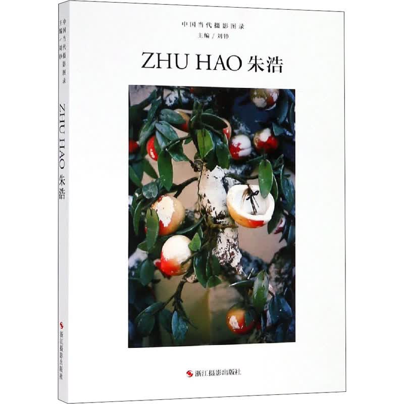 中国当代摄影图录 朱浩