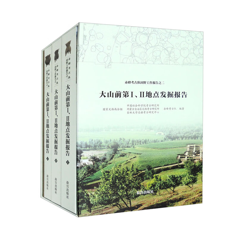 大山前第Ⅰ、Ⅱ地点发掘报告（套装上中下册）
