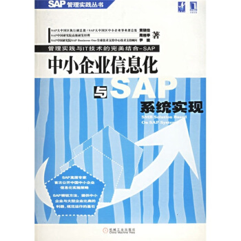 中小企业信息化与SAP系统实现【正版】