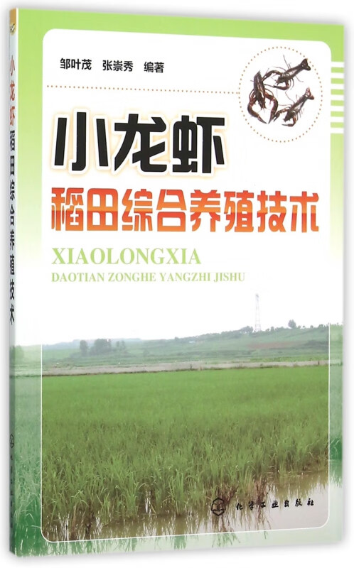 小龙虾稻田综合养殖技术