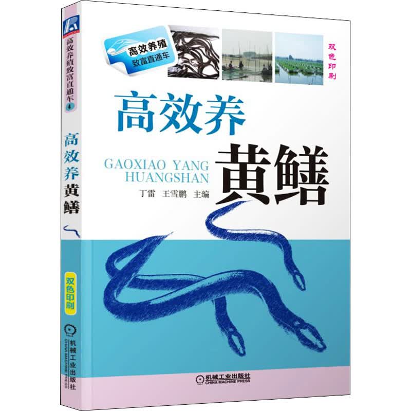 高效养黄鳝
