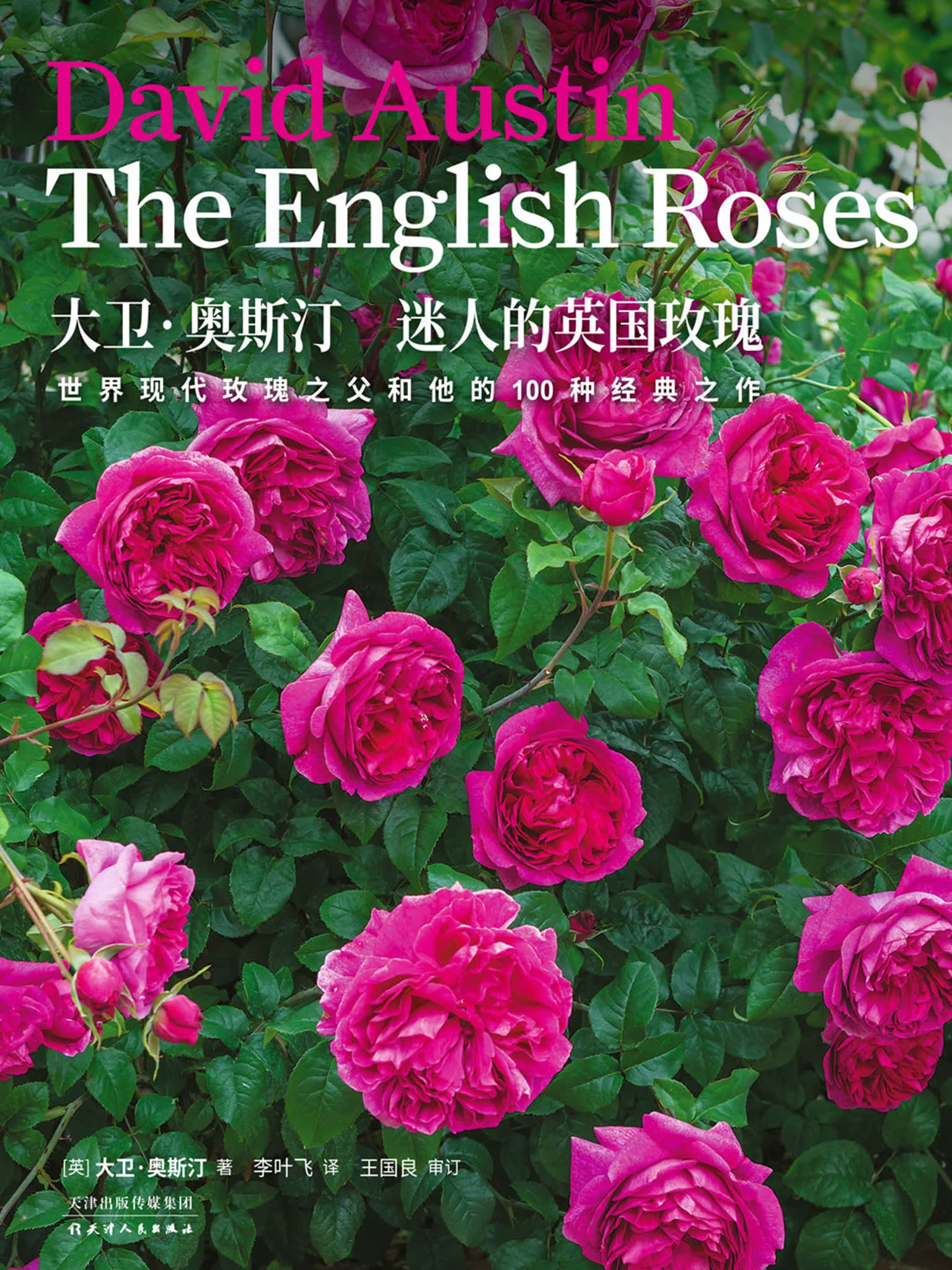 生活美学:大卫·奥斯汀迷人的英国玫瑰