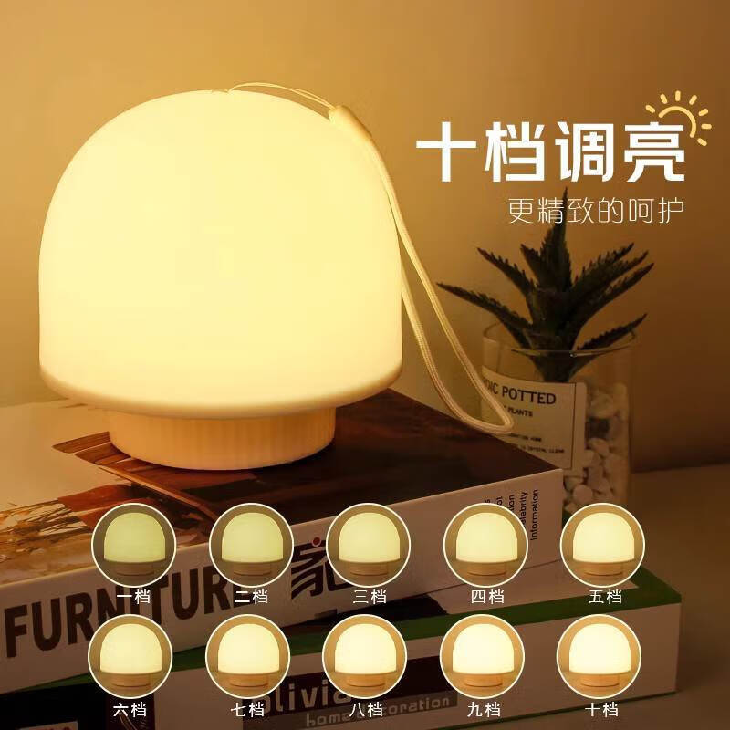 琇狮宿舍床上挂灯床上灯悬挂床帘内灯上铺灯用灯寝室小夜灯蚊帐内用灯 充电遥控款三色光【1600毫安】