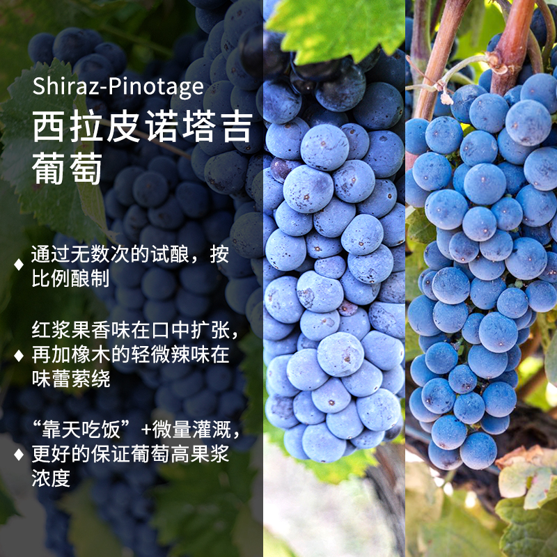 布可丽南非皮诺塔吉西拉干红葡萄酒2016年份原瓶进口西开普礼盒送礼 西拉皮诺塔吉双支礼盒装