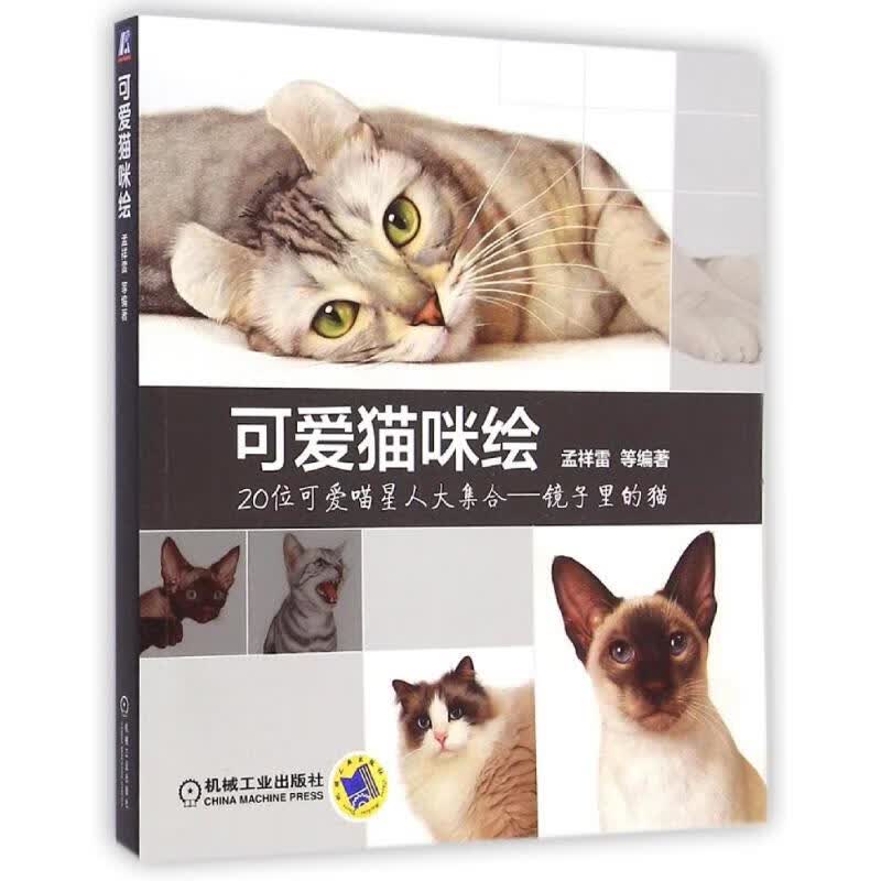 可爱猫咪绘 孟祥雷 书籍