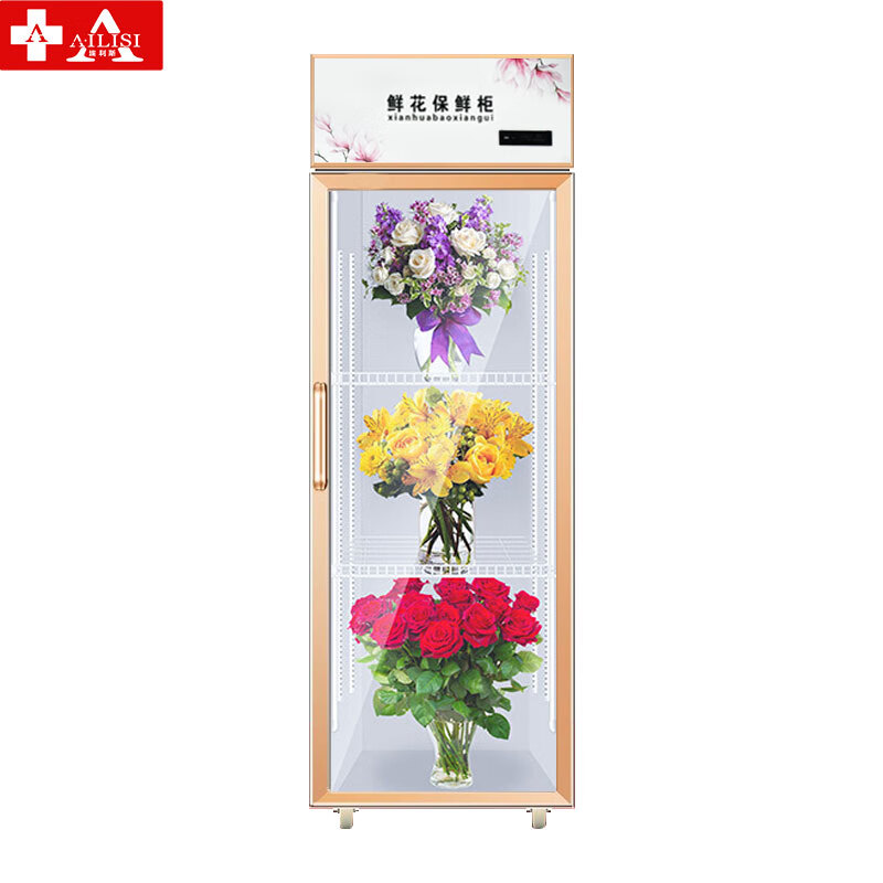 埃利斯(ailisi )鲜花保鲜柜风冷保鲜柜风冷商用展示柜冷藏柜鲜花植物