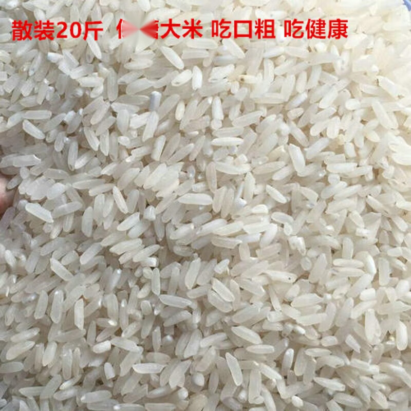 寄漪新品新米大米20斤散杂交米大米农家杂交米江浙沪皖z