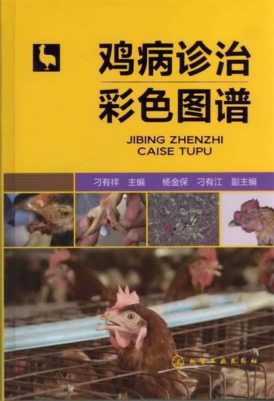 鸡病诊治彩色图谱【正版好书，下单速发】