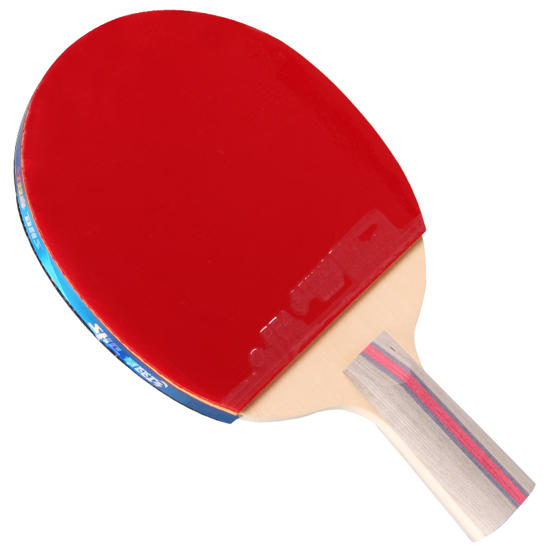 红双喜三星双面反胶训练成品拍升级版乒乓球拍直拍H3006含6只装球 102元