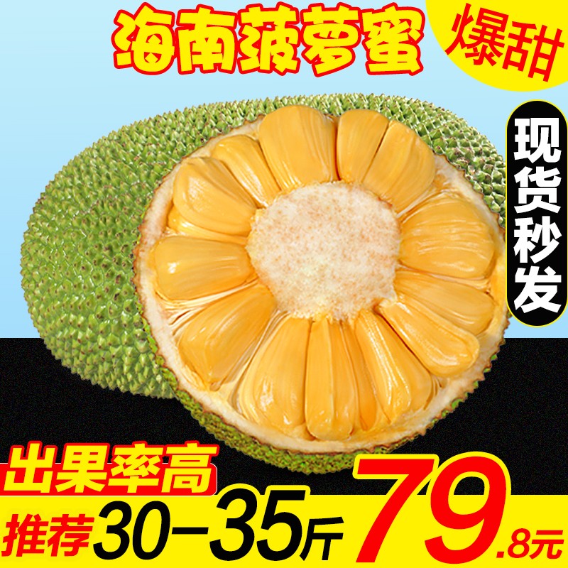 鲜贡园大果海南黄肉菠萝蜜30-35斤一整个新鲜当季热带木波罗蜜生鲜水果怎么样,好用不?