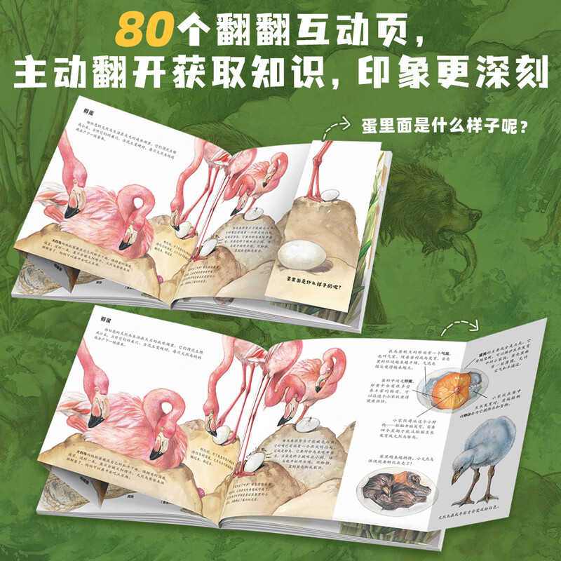 生命的故事 手绘版 400多物种80张翻页 动物世界昆虫朋友大百科自然科学科普绘本自然启蒙全书 3-8岁幼儿园儿童小学生课外阅读