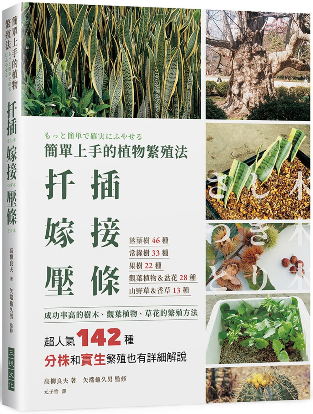预售 高柳良夫简单上手的植物繁殖法 扦插嫁接压条:超人气142种成功率