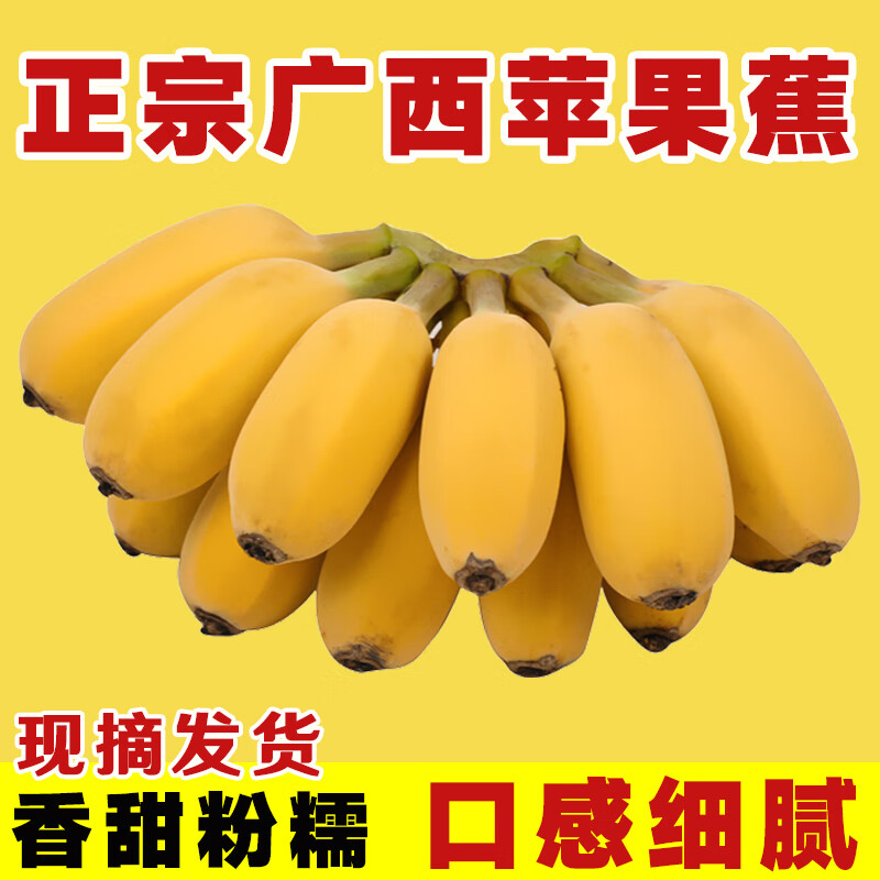 芒三少正宗广西苹果蕉小米蕉新鲜香蕉10斤当季新鲜水果香芭蕉香