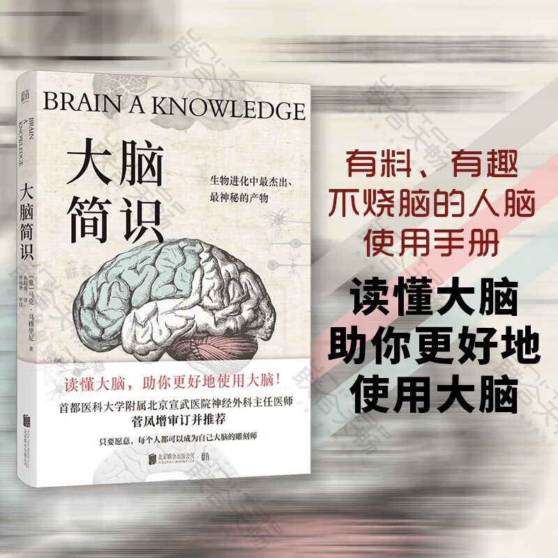 通俗的方式讲解脑科学前沿成果读懂人类大脑的各项机能机制科普书籍