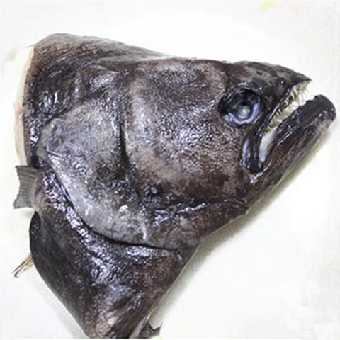 皓谦鸦片鱼头 俄罗斯深海大鲽鱼头 碟鱼头 比目鱼头新鲜海鲜水产400克