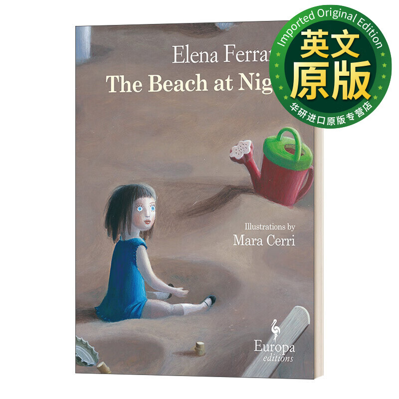 精装 英文版 进口英语原版书籍 英文原版 青少年小说 elena ferrante