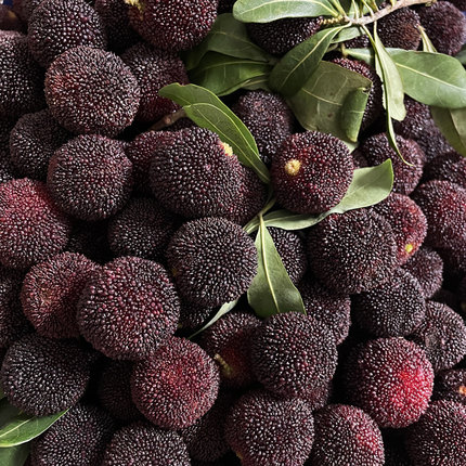 妮姬云南杨梅新鲜水果当季整箱孕妇水果非仙居东魁大荸荠鲜果 1000g