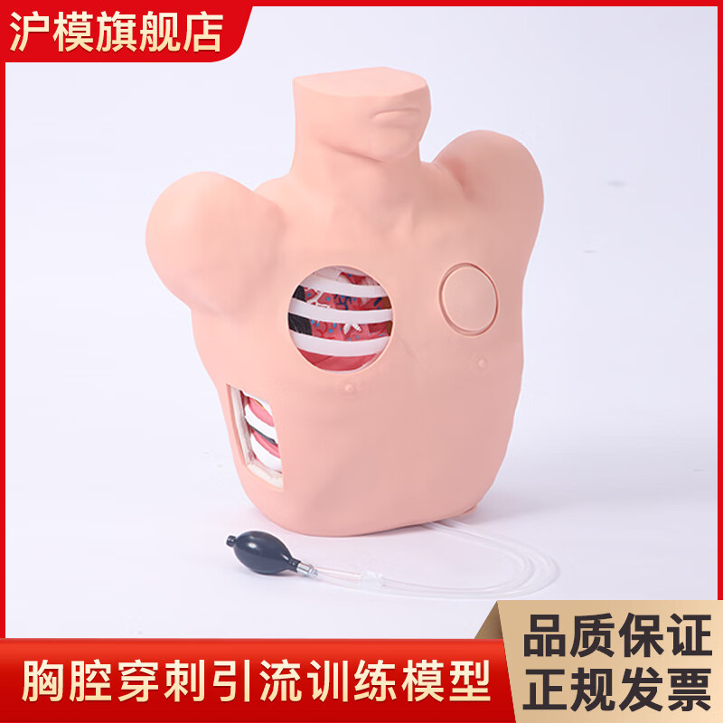 沪模 hm/l67 胸腔模型气胸处理模拟人培训演示用模型 护理练习 hm/l67
