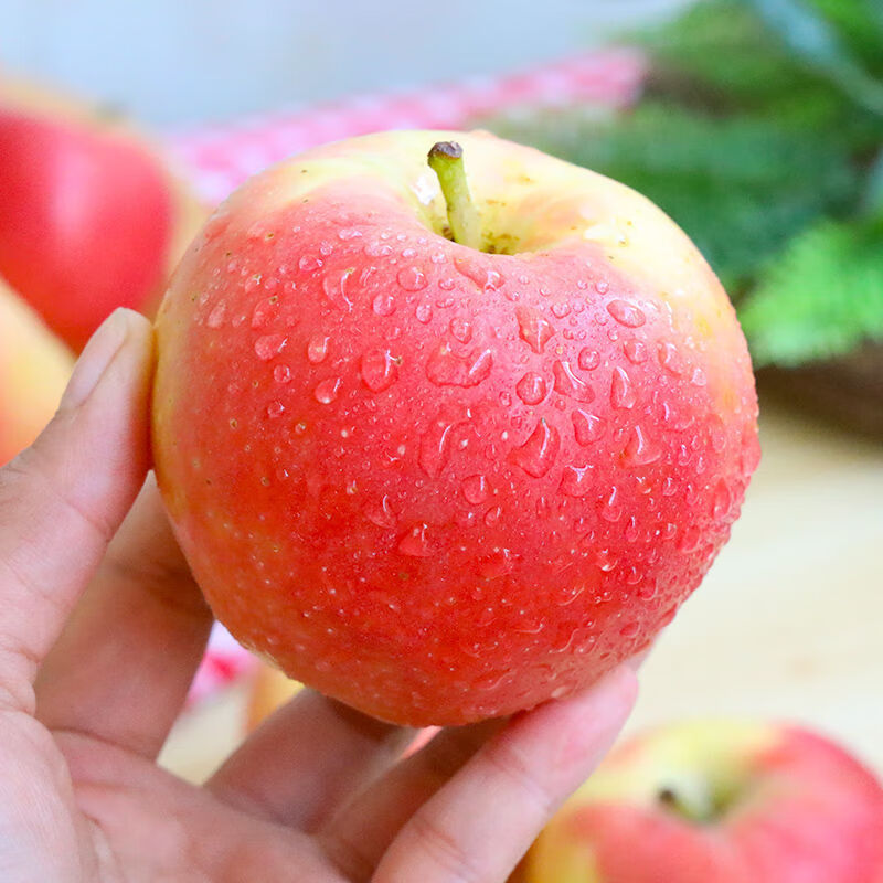 味蕾乐 新疆阿克苏嘎啦果小加力果 红富士水果新鲜新带箱9-10斤现摘当