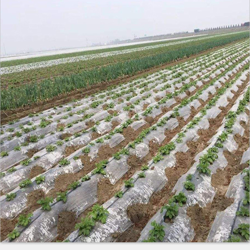 地膜果园田埂 盖草银黑农用双色反光果树草黑地膜种植 银黑双色0.