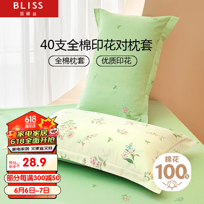 百丽丝水星家纺出品枕头套纯棉枕套一对枕巾单人枕头罩枕套48x74cm