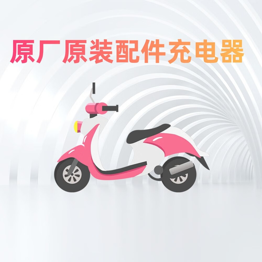 公子玉适用哈啰棒途电瓶车48v12a20ah60v20ah72v20ah专用自动断电充电