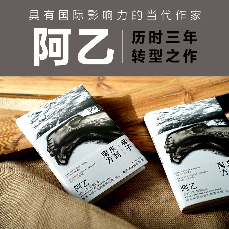 骗子来到南方（阿乙全新作品集）