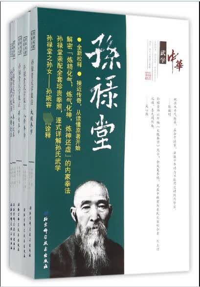 孙禄堂武学集注(共5册)/武学名家典籍丛书