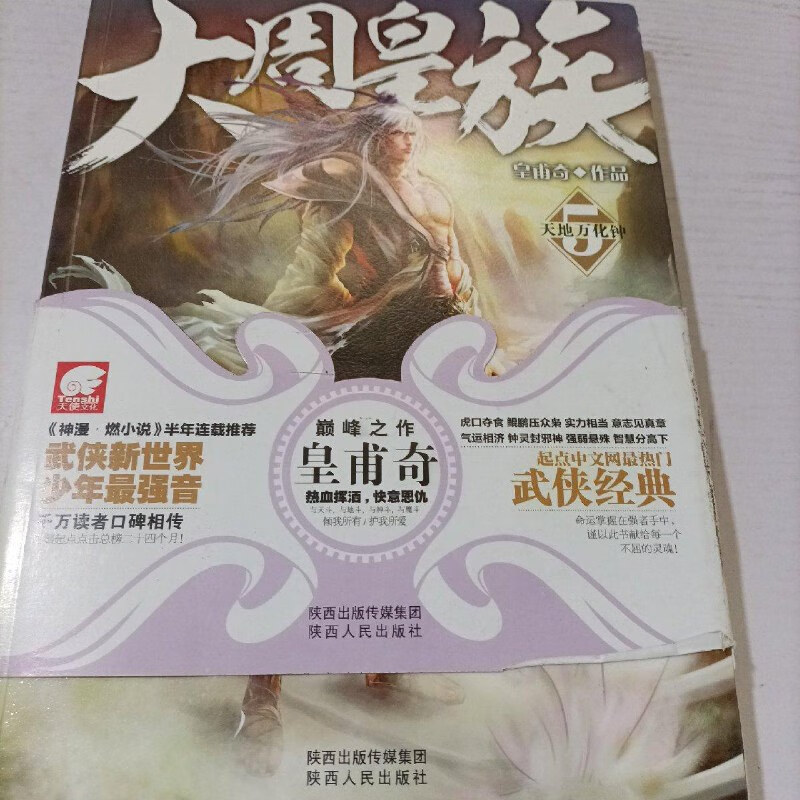 大周皇族同体系的小说