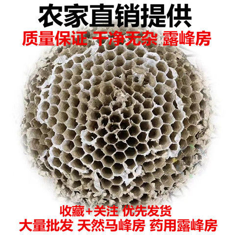 野露蜂房中药材天然马蜂窝巢硬峰房软峰房煮水牙疼打粉 露峰房【整块