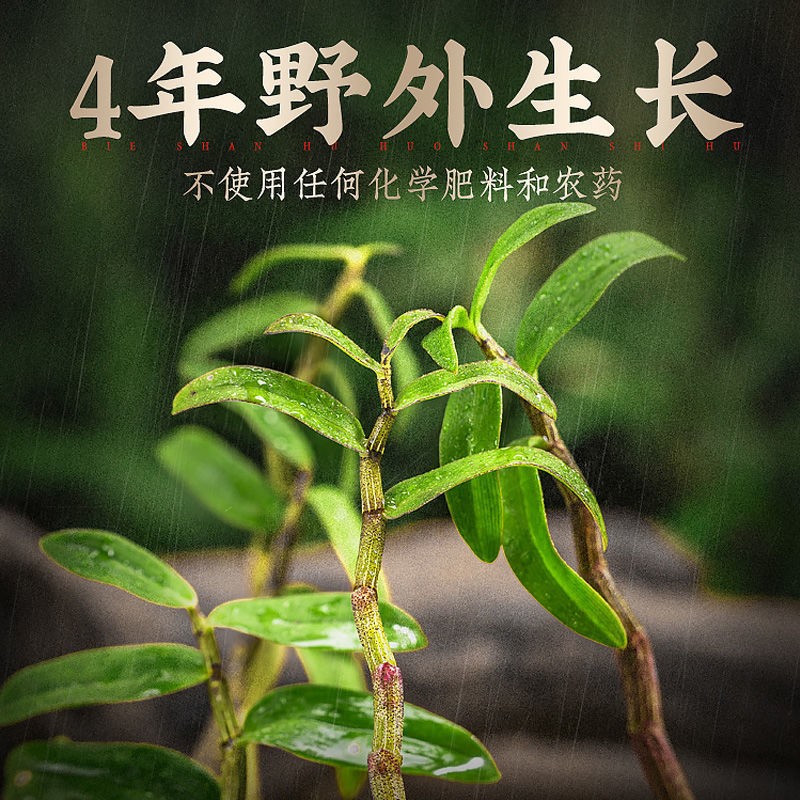 别山斛 正宗四年生霍山铁皮石斛鲜条  送礼长辈父母爸妈养生礼物 霍山石斛鲜条500g